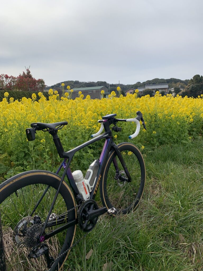 【スタッフサイクリング】田原市の赤羽展望台までサイクリングしました。